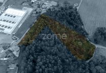 Terreno Santo Tirso