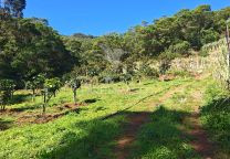 Terreno com 21 500,00 m2 à em caniçal