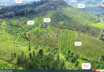 Quinta Do Cachão - Refúgio Agrícola No Vale Do Tua