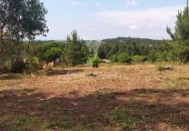 Terreno para construção em canedo   santa maria da feira