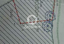 imagem_8