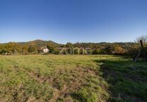 Terreno Com 7852 M2 Em Torre - Amares